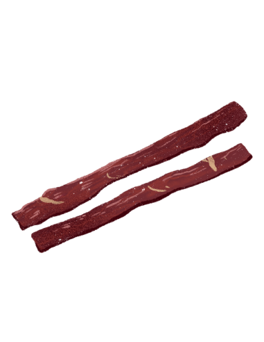 Salač, Prúžok - hovädzí sušený 100 g | OLDtownDOG
