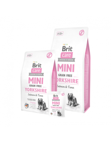 BRIT Care Grain Free - Yorkshire 2 kg | simplyHOUND